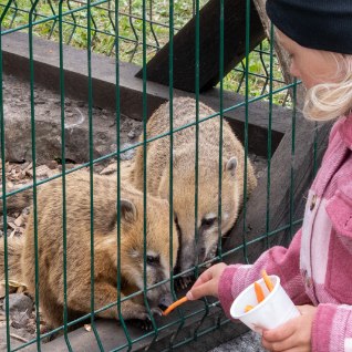 GALERII | Saaremaal avati loomaaed