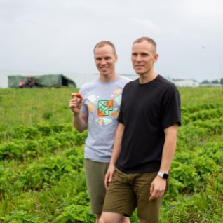 IT-spetsialistidest kaksikvennad Kaarel ja Siim Kilki kasvatavad maasikaid tervelt 2,6 hektaril: „See on meie hobi ja aktiivne puhkus.“