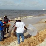 Mehhiko lahe naftareostus on arvatust tõsisem