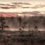 Eesti fotograafi pilt pälvis rahvusvahelisel loodusfotovõistlusel kolmanda koha