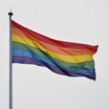 Võrdusõigusvolinik: samasoolistel paaridel ja nende lastel on õigus heteropaaridega samaväärsele pereelu kaitsele
