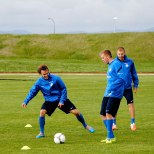 Pehrsson loodab Islandi vastu näidata ilusamat jalgpalli