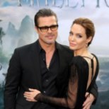 Pitt ja Jolie juba ammu abielus