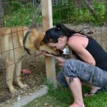 Koer Sammi kurb elusaatus: hukkamisele läbi eutanaasia