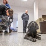 Politsei õpetab koera kurjategijate raha otsima