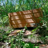 FOTOD | Maia karu hävitustöö - mesitarust jäid maha vaid pilpad