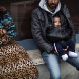 PORIMÜLGAS, IMIK JA OKASTRAAT: imik, kelle pagulasest ema peseb puhtaks pudeliveega keset pori