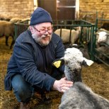 Parasmäe küla lambad teevad maiustusretki naabrite aiamaadele, rikkudes külarahu