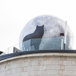 GALERII | PÖFF SAI AVALÖÖGI: kaubanduskeskuse katusele paigaldati hiiglaslik ulguvat hunti kujutav kuumaõhupall
