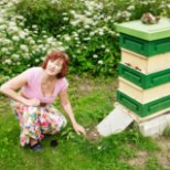 Miljonitest mesilindudest ilma jäänud mesinik läheb kohtusse