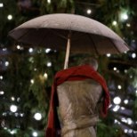 FOTOD | Tartlasi rõõmustavad romantiline jõulukülake ja Rõõmu külast toodud kuusk