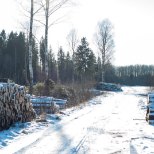 Vakra: koostöö Euroopa metsainstituudiga aitab kaasa Eesti metsade kaitsele