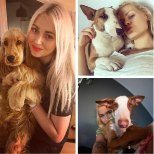 TOP 10 | Kümned tuhanded fännid Instagramis ehk Eesti kuulsamad lemmikloomad, kellel tasub silma peal hoida