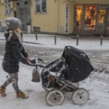 Negatiivsest iibest hoolimata kasvas Eesti rahvaarv mullu 4700 inimese võrra