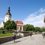 Vihane ärimees lubab keset Tallinna vanalinna kartulipõllu rajada