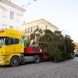 FOTOD | 18 meetrit jõulurõõmu: Tartu Raeplatsile jõudis maaülikooli kuusepuine kingitus