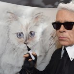 KURB FOTO | Karl Lagerfeldi kurikuulus kass leinab oma omanikku