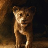 AASTA OODATUIMAD FILMID: „Lõvikuningas“ toob nostalgiapisaraid, „Tähesõjad“ ja „Tasujad“ saavad lõppmängu