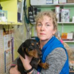 JÄRJEKORDNE HULLUS: koerte vaktsineerimisest keeldumine pole Eestisse veel jõudnud