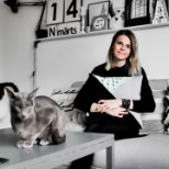 ÕL VIDEO | Anna Lutter õpetab: kuidas teha lihtsa vaevaga koju dekoratiivpadi