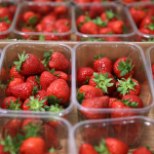 Kontrollid jätkuvad: mürgiseid maasikaid müünud kasvataja põlde uurib järgmine asutus