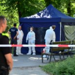VENE TELLIMUSMÕRV? Berliinis tapeti lasuga pähe Gruusia kodanik