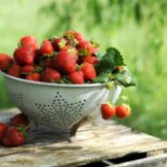 EESTI SUVE SÜMBOL: maasikas! Mida võiksid sellest marjast teada?