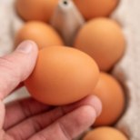 MITU MUNA PÄEVAS VÕIB SÜÜA? 6 tõde ja müüti munast