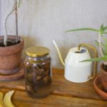KOHV JA BANAAN TAASKASUTUSSE: pane taimed koduse väetisega tervisest pakatama!