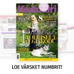 UUS KODUKIRI | Maikuu ajakirjas heidame pilgu aiakujunduse peapreemia võitnud aeda Saaremaal