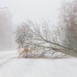 TORMIBLOGI  | Tugev tuul ja lumesadu muutis laupäeval liiklusolud keeruliseks. Lennujaama töö oli häiritud ja tuhanded majapidamised jäid elektrita
