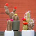 TEE ISE | Õmble aknalauale hooldusvabad kaktused