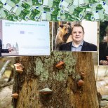 VALEDE KÕRGE HIND: SAJAD MILJONID EUROD! Metsapoliitika põhitegijad väidavad musta valgeks: et Eesti mets vananeb ja seda tuleks palju raiuda