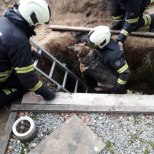 FOTO | Päästjad tõid hauast välja sinna kukkunud koera