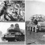 NELJAJALGSED MIINID: Nõukogude tankikoerad läbisid piinarikka väljaõppe, et lahinguväljal kindlasse surma joosta