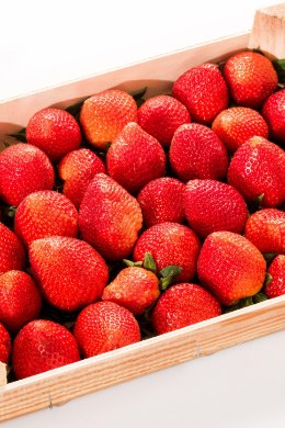 Kuidas välismaa maasikad meile jõuavad?