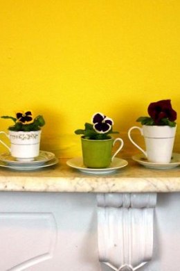 Nii nutikas idee! Lilled kohvitassi kasvama!