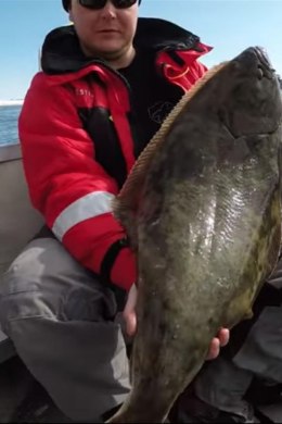 VIDEO: Nii suur kala, et veab paati järgi!