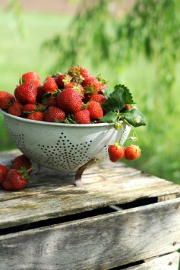 NÄDALAMENÜÜ | 28. juuni – 4. juuli: kuidas maasikaid argitoitudes rohkem kasutada