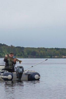 Pärnu jõgi pulbitseb taas elust ja kaladest