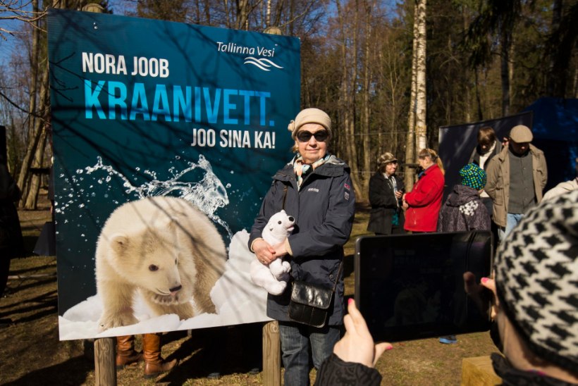 FOTOD JA VIDEO: Tallinna loomaaia jääkarupreili sai nimeks Nora
