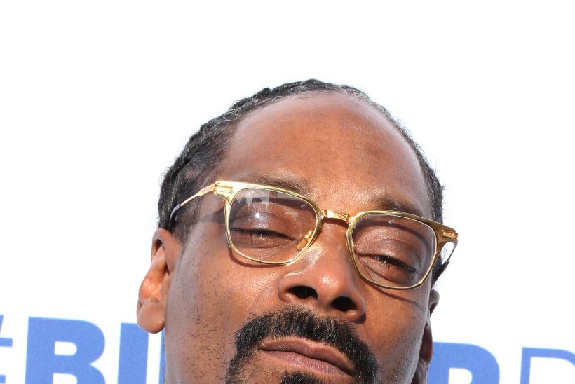 Snoop hakkab seriaali tootma