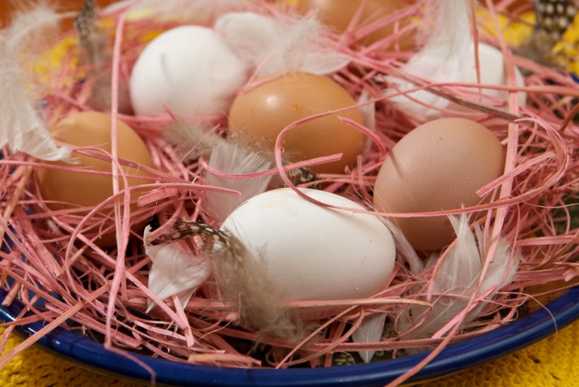 Kuus viisi, kuidas muna on tervisele kasulik