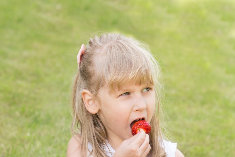 LOOTUST ON! Eesti maasikaid näeb turulettidel juba enne jaanipäeva