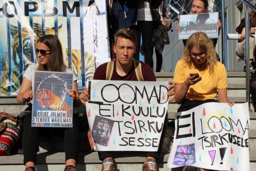 Tallinnas toimus Eesti ajaloo suurim meeleavaldus loomatsirkuste vastu