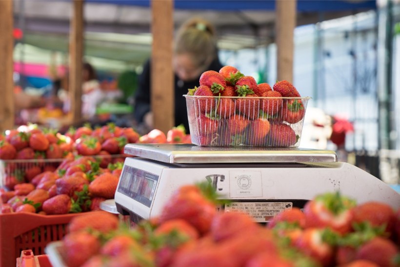 Eesti maasikad – mis kiiresti käes, see kiiresti ära