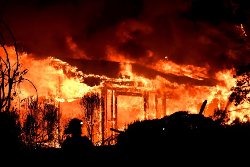 California veiniistandused põlevad: hukkunud on vähemalt 13, põgenenud 20 000 inimest