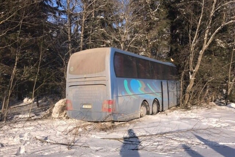 FOTOD | Eesti buss sõitis Venemaal bussijuhi terviserikke tõttu vastu puud