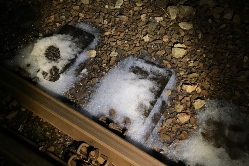 Ohtlikku kemikaali lekkinud rong seisab endiselt Tapal, kontrollitakse kõiki vaguneid