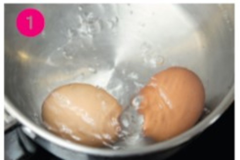 9 nutikat munanippi 